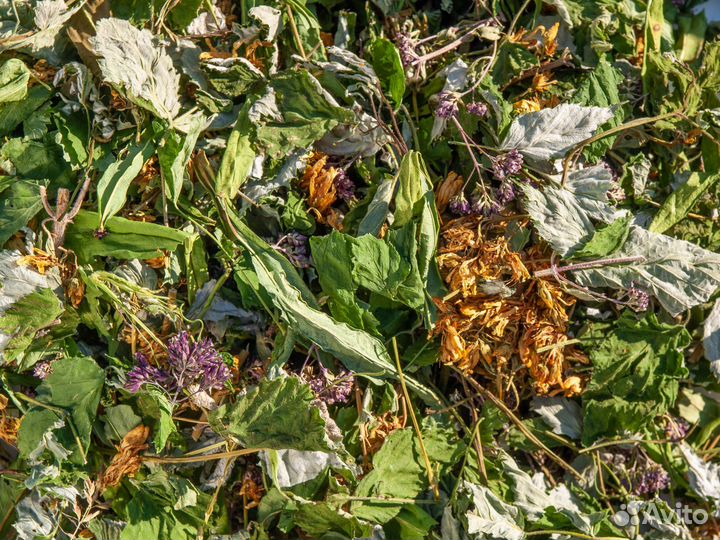 Травяной сбор 