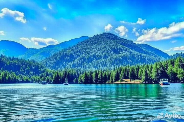 Отдых в Абхазии 