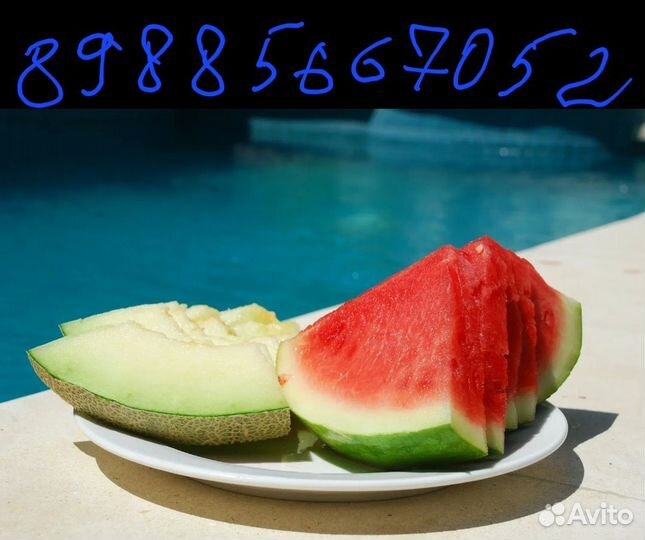 Арбузы и дыни