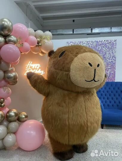 Аниматор капибара, день рождение