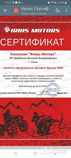 Снегоход Ирбис Динго Т200 NEW 2024 Новые