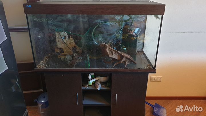 Аквариум Биодизайн