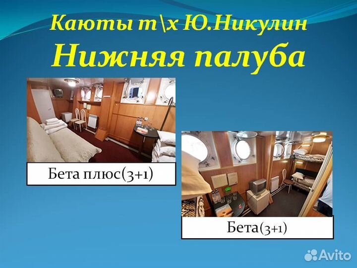 10июн24 Пермь-Мурманск,Териберка-Пермь /юн1009