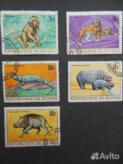 Марки Гвинеи 1969 г