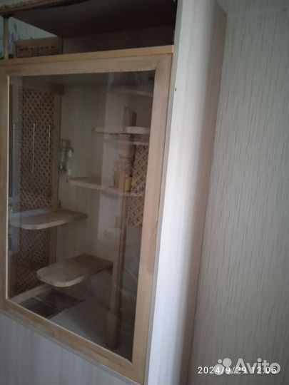 Витрина для шиншилл бу