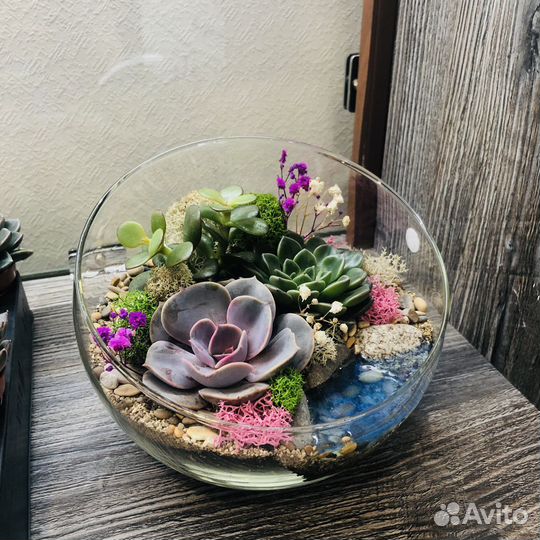 Флорариум с суккулентами