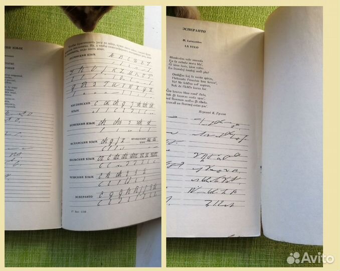 В.В. Герасимов. Стенография, 1975