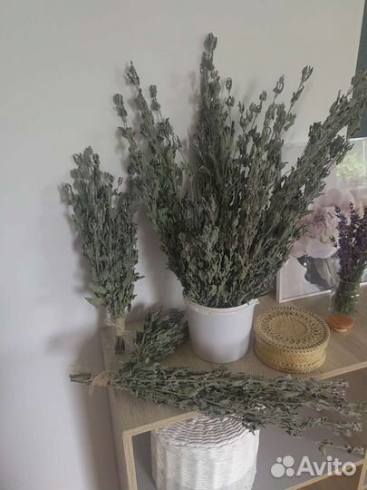 Мята сушеная мелисса лимонная