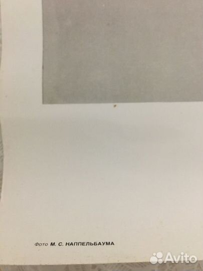 Плакат -портрет В.И.Ленина(49х66) 4 шт,новые