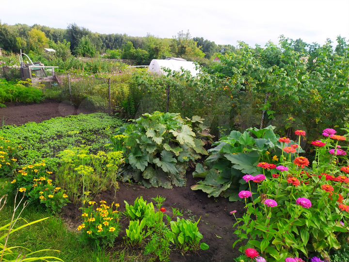 Участок 4 сот. (СНТ, ДНП)