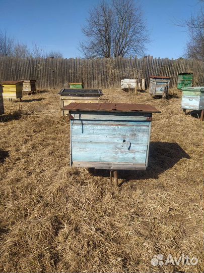 Ульи для пчел бу