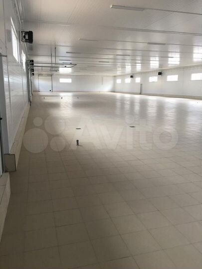 Помещение под чистое или пищевое пр-во, 1440 м²
