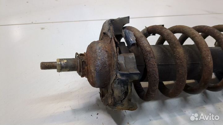 Амортизатор подвески левый передний Opel Vivaro