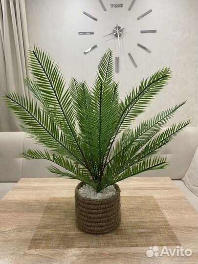 Искусственные растения