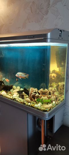 Аквариум