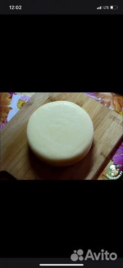 Продам сыр сулугуни