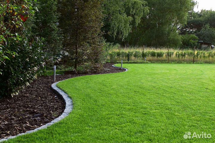 Рулонный газон /продажа/укладка