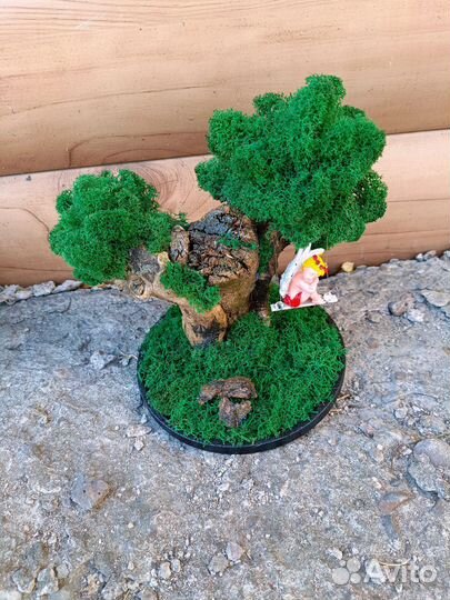 Настоящий мох. Оригинальные подарки