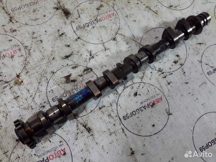 Распредвал впускной Renault Fluence