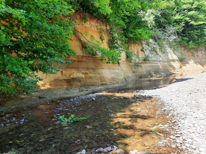 Участок 24,6 сот. (СНТ, ДНП)