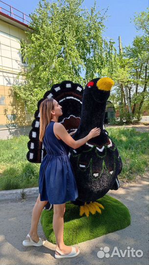 Изготовление топиарных фигур