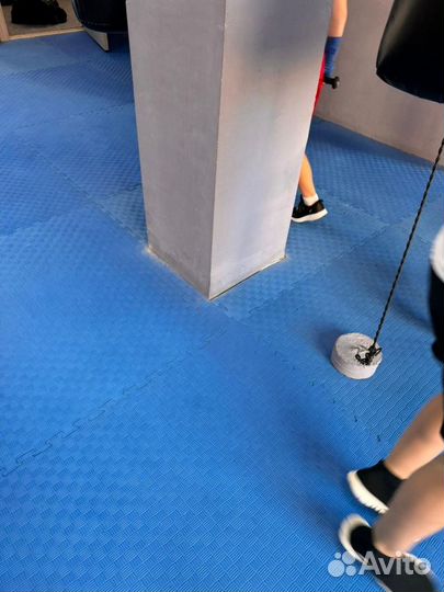 Будо маты 2см