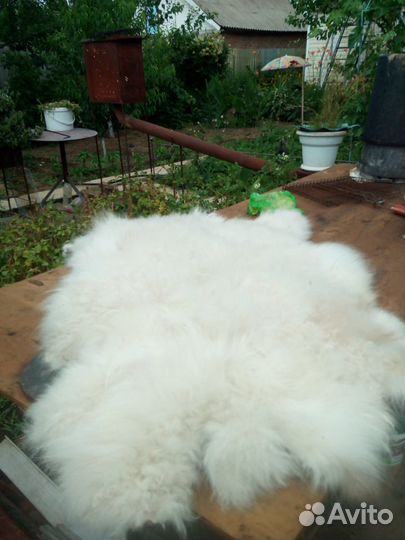 Шкура козы
