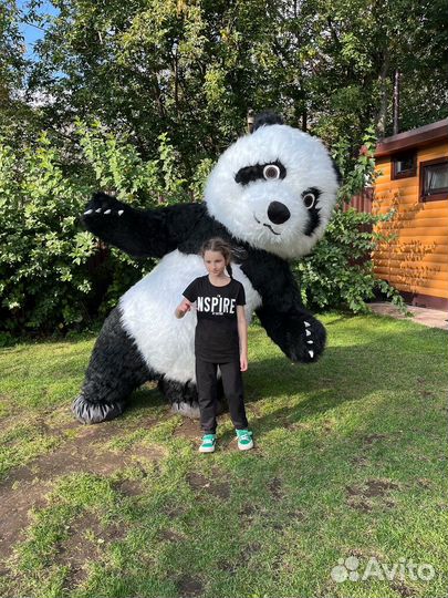 Белый мишка и Панда экспресс поздравление