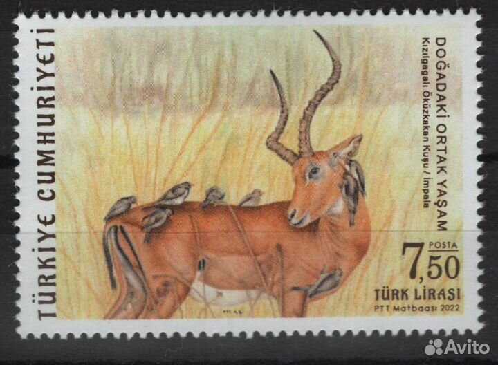 А16 Турция 2022. Фауна 2 марки