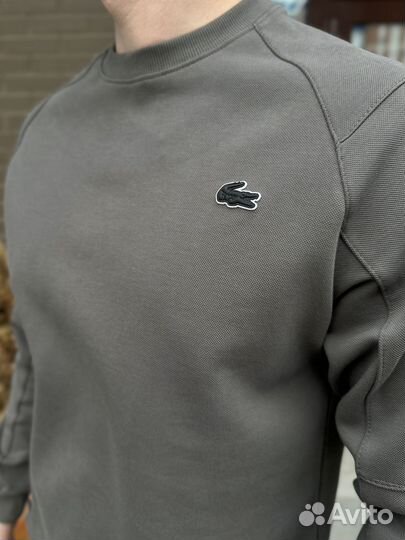 Спортивный костюм летний Lacoste