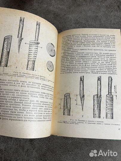 Методика опытов с плодовыми, ягодными растениями