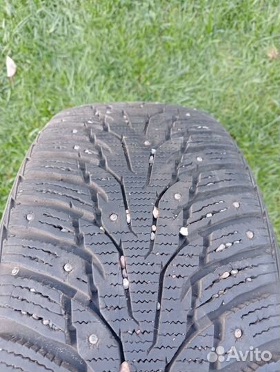 Nexen Winguard WinSpike WH62 205/55 R16