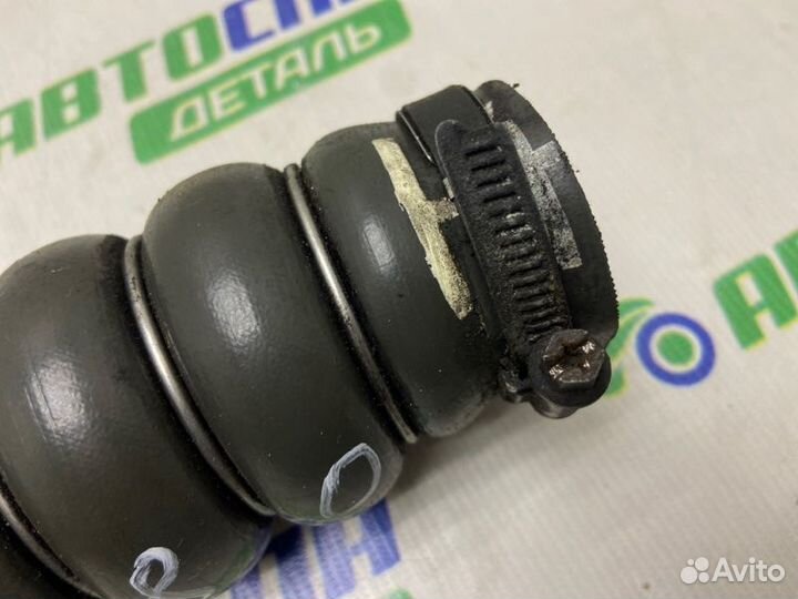Патрубок интеркулера Ford C-Max DV6 2011