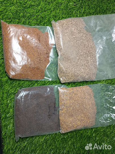 Все для выращивания микрозелени