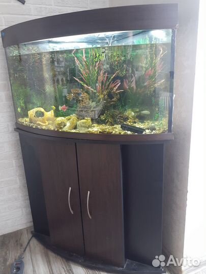 Продаю полностью укомплектованный аквариум на150 л