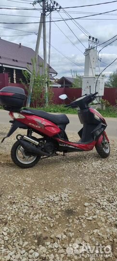 Racer -RC50T-15J taurus