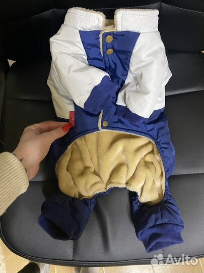 Комбинезон для собак