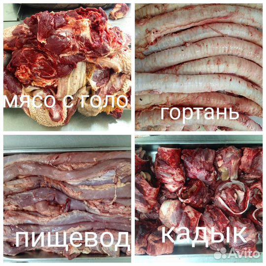 Лакомство для животных