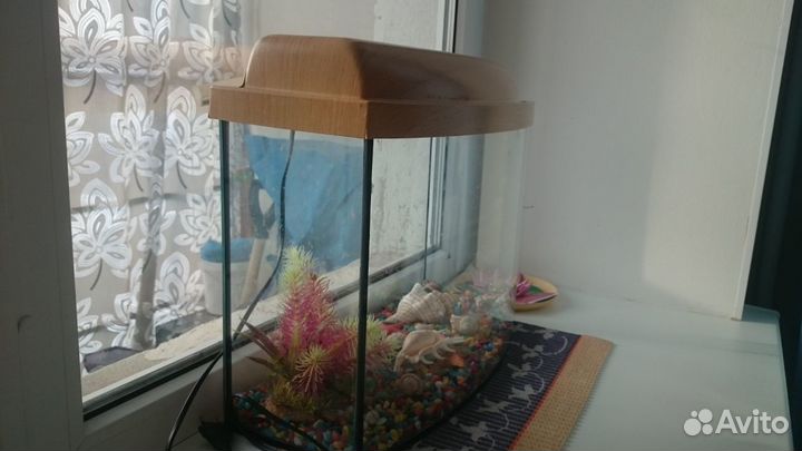 Аквариум 