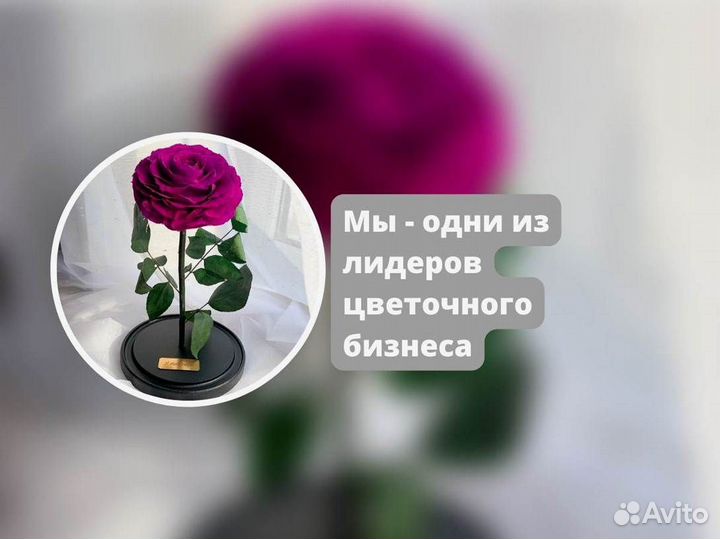 Роза в колбе