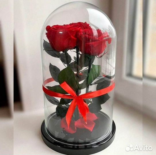 Неувядающая роза в колбе