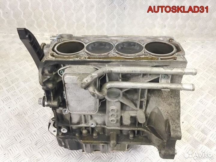 Блок двигателя Volkswagen Golf 5 BLP 03C103019G