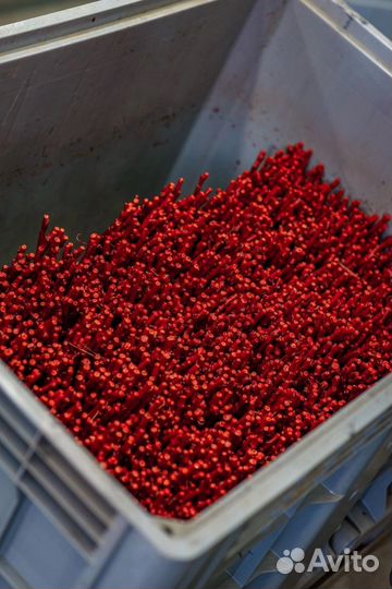 Воск для саженцев