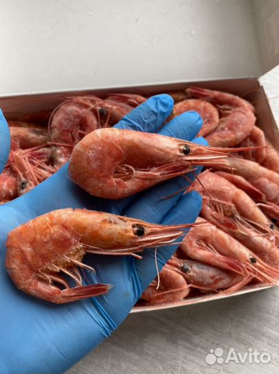 Креветки Северные 70+ / доставка до дома