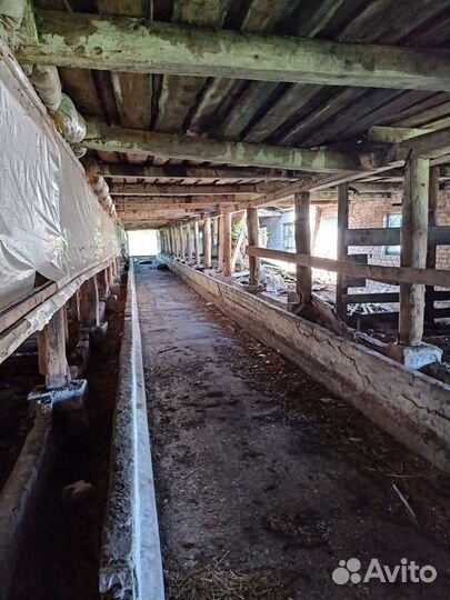 Фермерское хозяйства