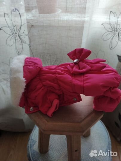 Комбинезон для собаки (девочка)