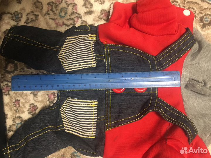 Одежда для собак