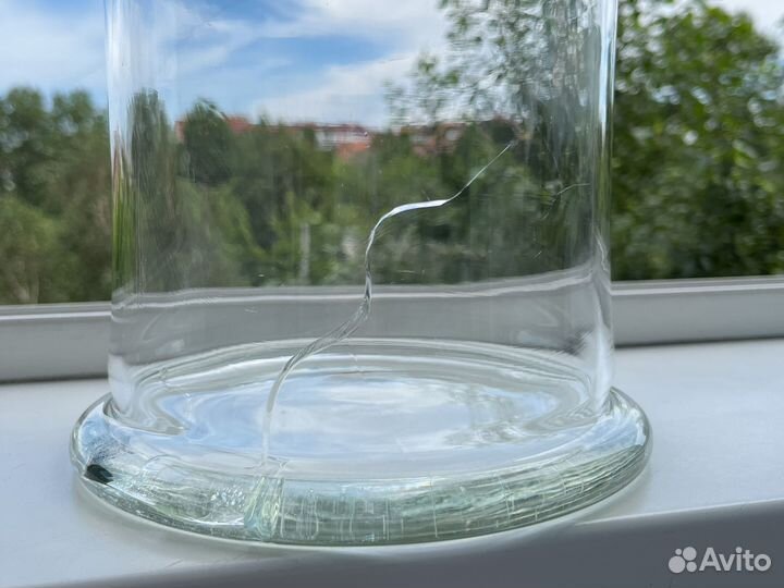 Банка для интерьера флорариум