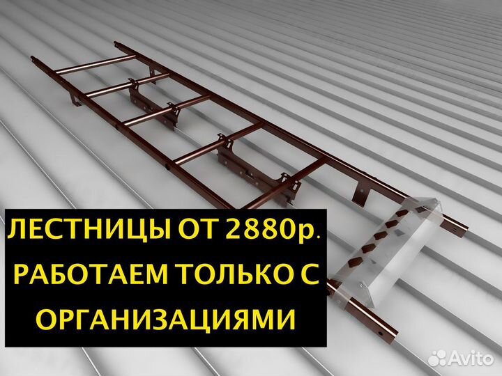 Лестницы кровельные только для организаций