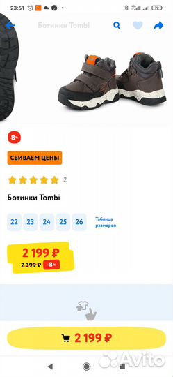 Ботинки демисезонные